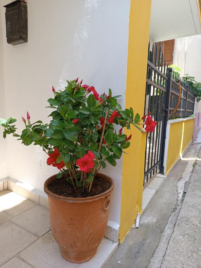 Stefanos Family Apartment Lefkáda 外观 照片